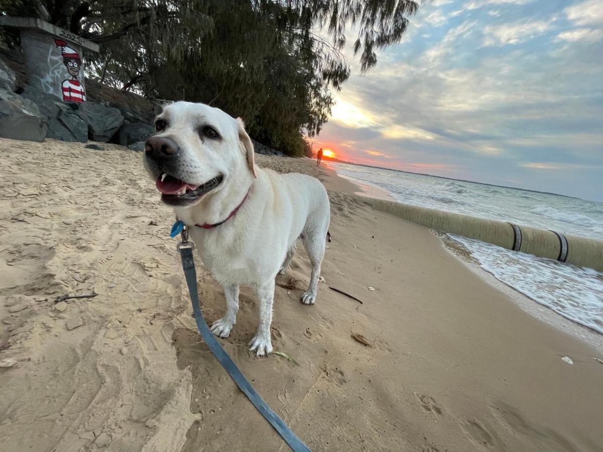 Torquay Terrace Bed & Breakfast Bed & Breakfast Hervey Bay